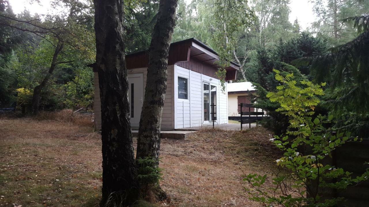 Bungalowdorf Klein Budelsdorf アルテンベルク エクステリア 写真